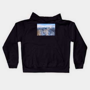 Frosted Pines on the Summit Kids Hoodie